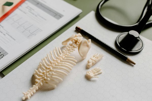 Découverte bien-être : astuces et innovations santé